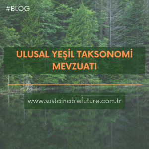 Ulusal Yeşil Taksonomi Mevzuatı - Blog - Sustainable Future